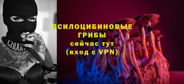 спайс Алзамай