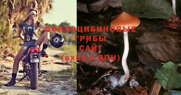 спиды Абаза