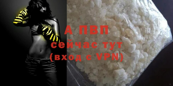 СК Абинск