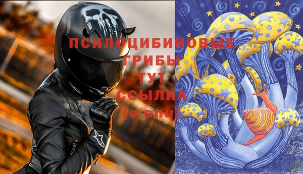 амф Абдулино