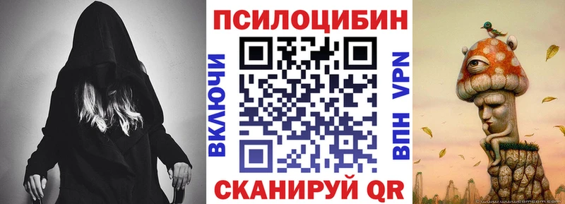 Псилоцибиновые грибы MAGIC MUSHROOMS  omg как зайти  Циолковский 